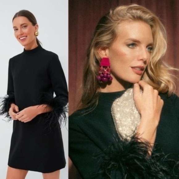 Tuckernuck | NEW Black Feather Mod Ellie Mini Cocktail Dress Size M - Picture 4 of 17